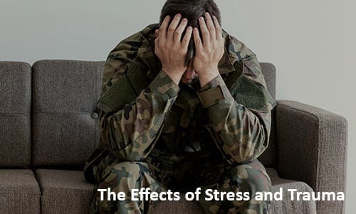 Resources for Resilience, The Effects of Stress and Trauma